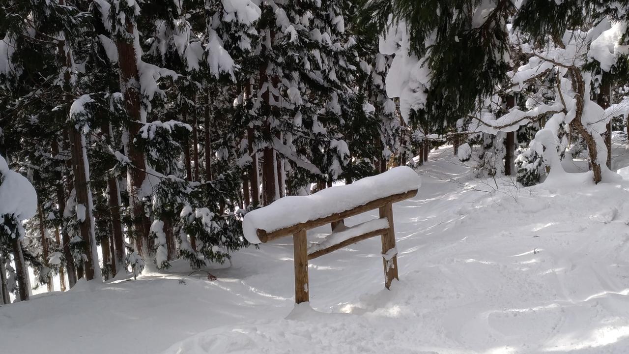 Nozawa Dream Ξενοδοχείο Εξωτερικό φωτογραφία