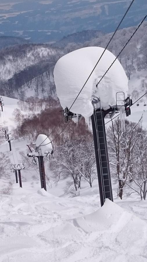 Nozawa Dream Ξενοδοχείο Εξωτερικό φωτογραφία