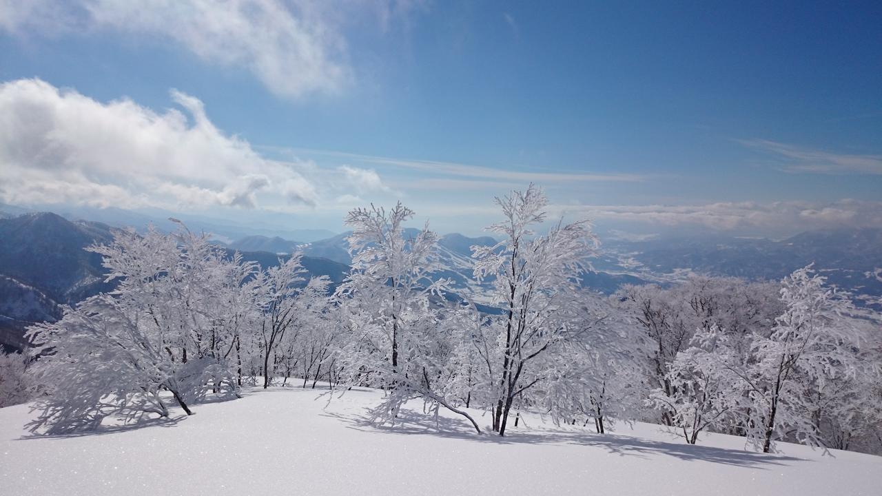 Nozawa Dream Ξενοδοχείο Εξωτερικό φωτογραφία